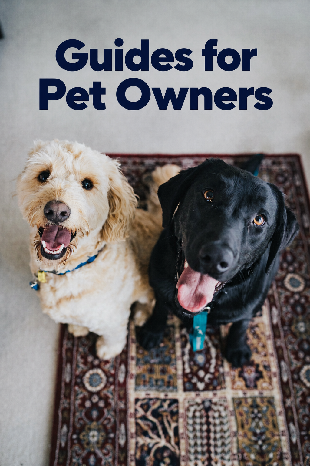 Guides for Pet Owners